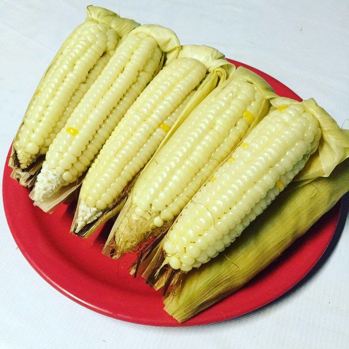 corn on the cob