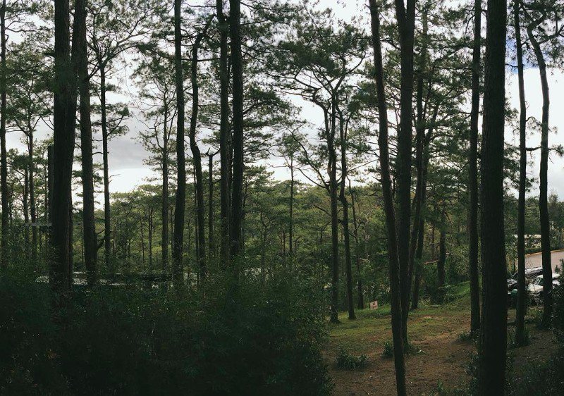 Baguio Sagada Banaue Itinerary Baguio Sagada Banaue Itinerary