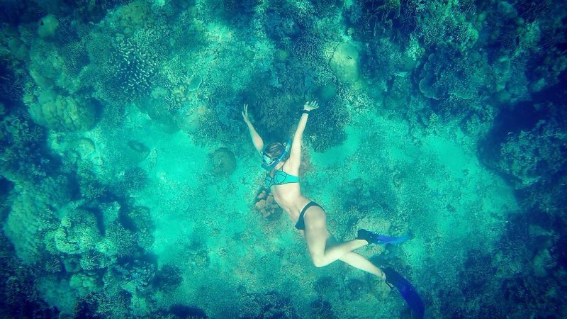 Pescador Island Moalboal Cebu Pescador Island Moalboal Cebu
