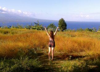 apo island philippines