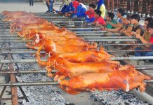 cebu lechon