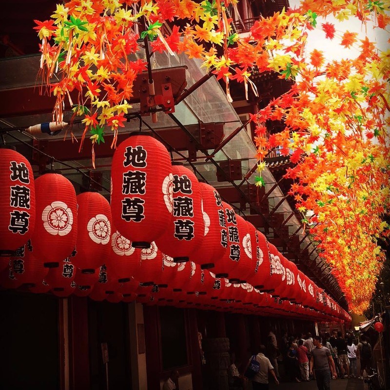 chinese new year chinese new year