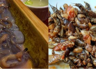 weird filipino food
