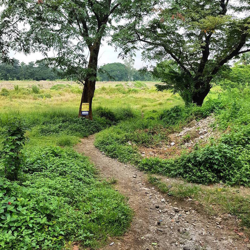 Bike Trails in Manila