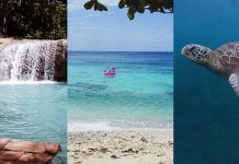 dumaguete-siquijor-apo island itinerary