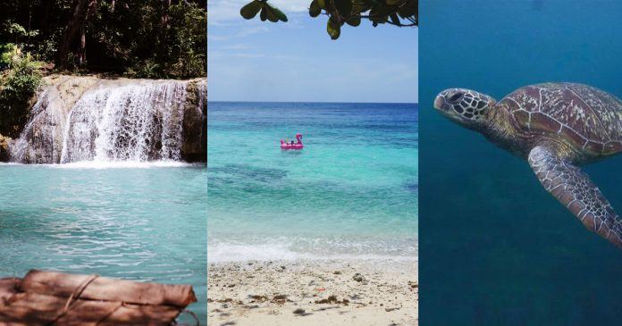 dumaguete-siquijor-apo island itinerary